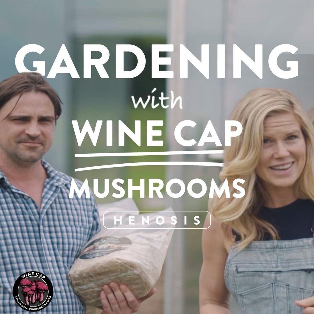 Gardening with Wine Cap Mushrooms featuring Chelsea Young YouTube thumbnail 