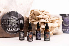 //www.henosismushrooms.com/cdn/shop/files/Henosis_Product-White-207_small.jpg?v=1716813499